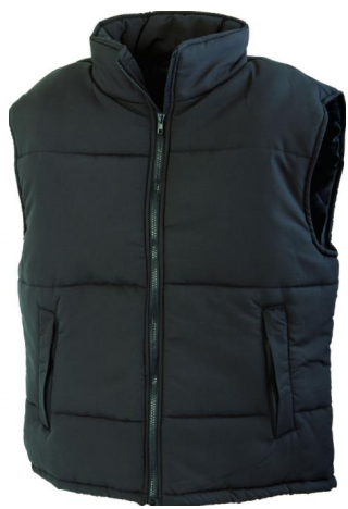 Vesta vatuita Ramsay, art.1B81 ( 9038 )