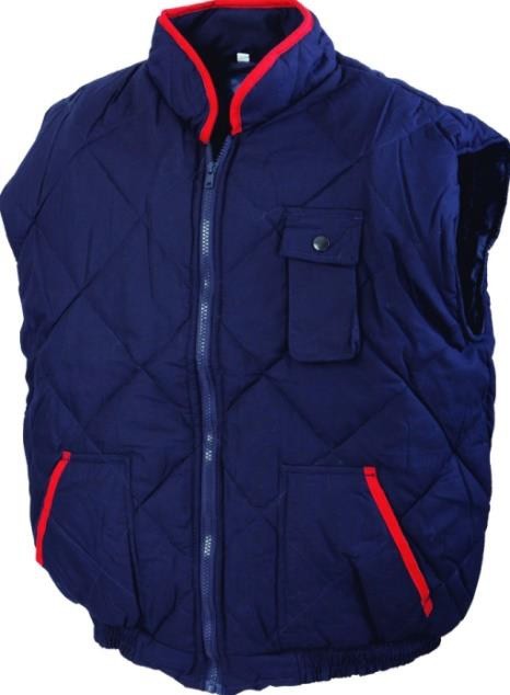 VESTA VATUITA HIMA RENANIA, ART.1B87 ( 9044 )