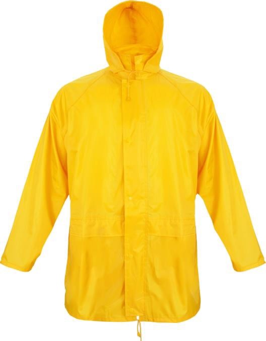 SCURTA DE PROTECTIE DORTMUND, RENANIA, ART. B833 ( 3030 )